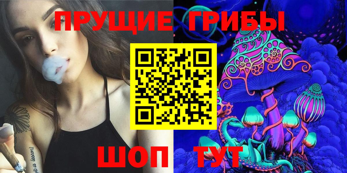 Псилоцибиновые грибы Cubensis  Вход с VPN  Амурск 